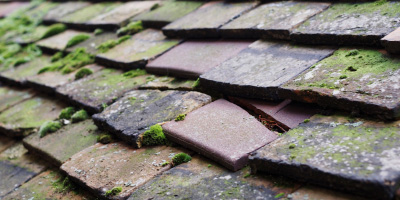 Tiddington roof repair costs